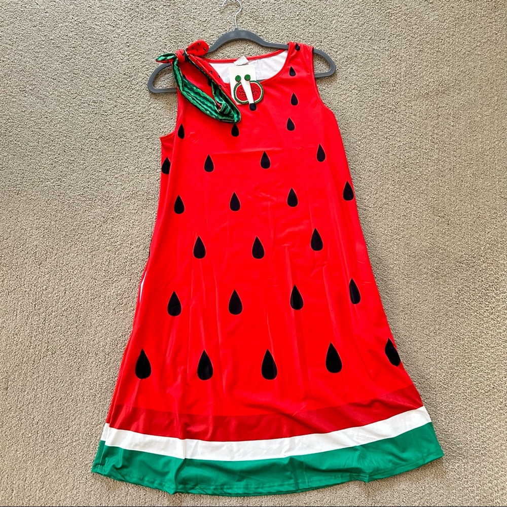Watermelon Dress Costume Women’s Large with Headband and Earrings